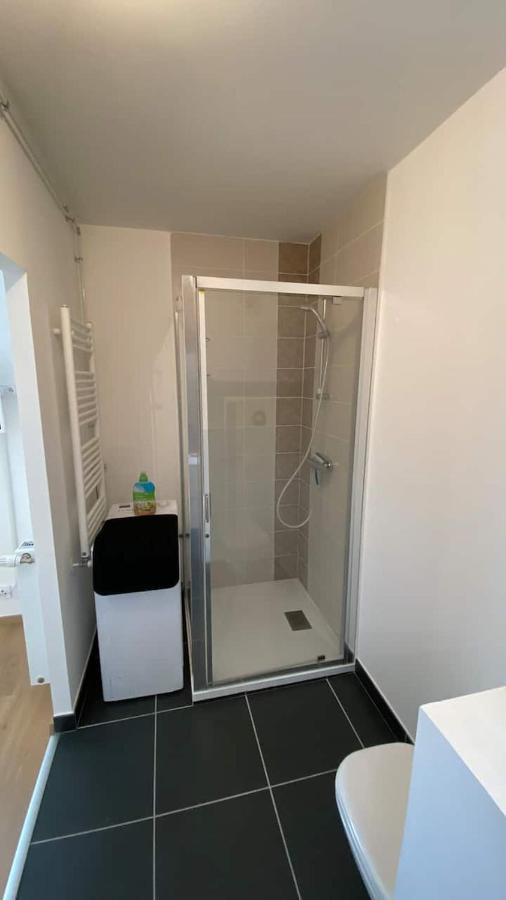 Magnifique Studio Avec Terrasse Et Garage Apartment Chens-sur-Leman Exterior photo